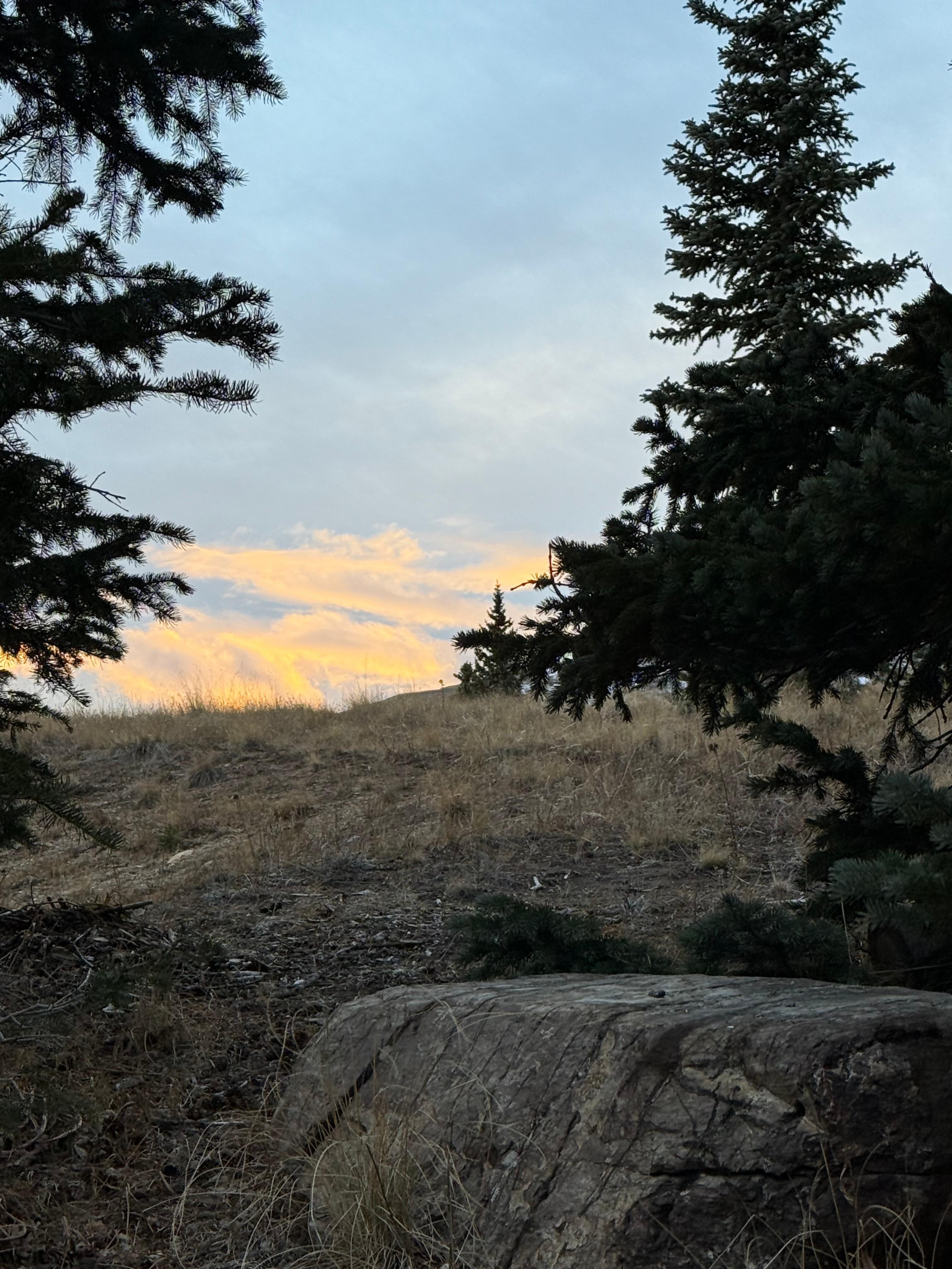 View from back of cabin