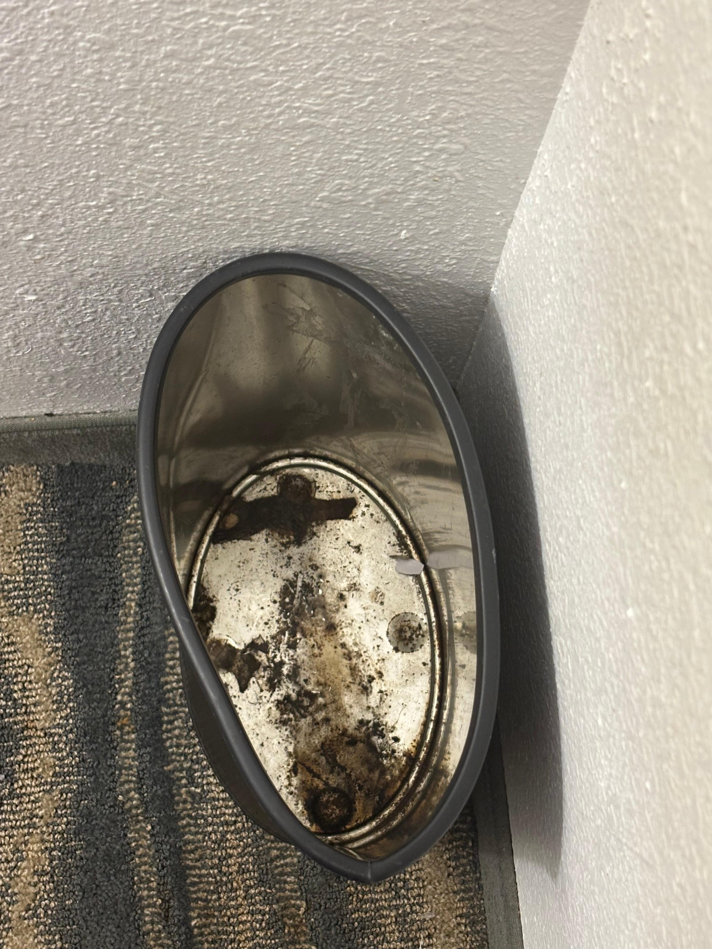 Mold in trash 