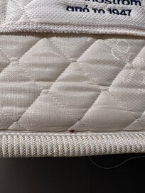 Bed bug in seam of mattress