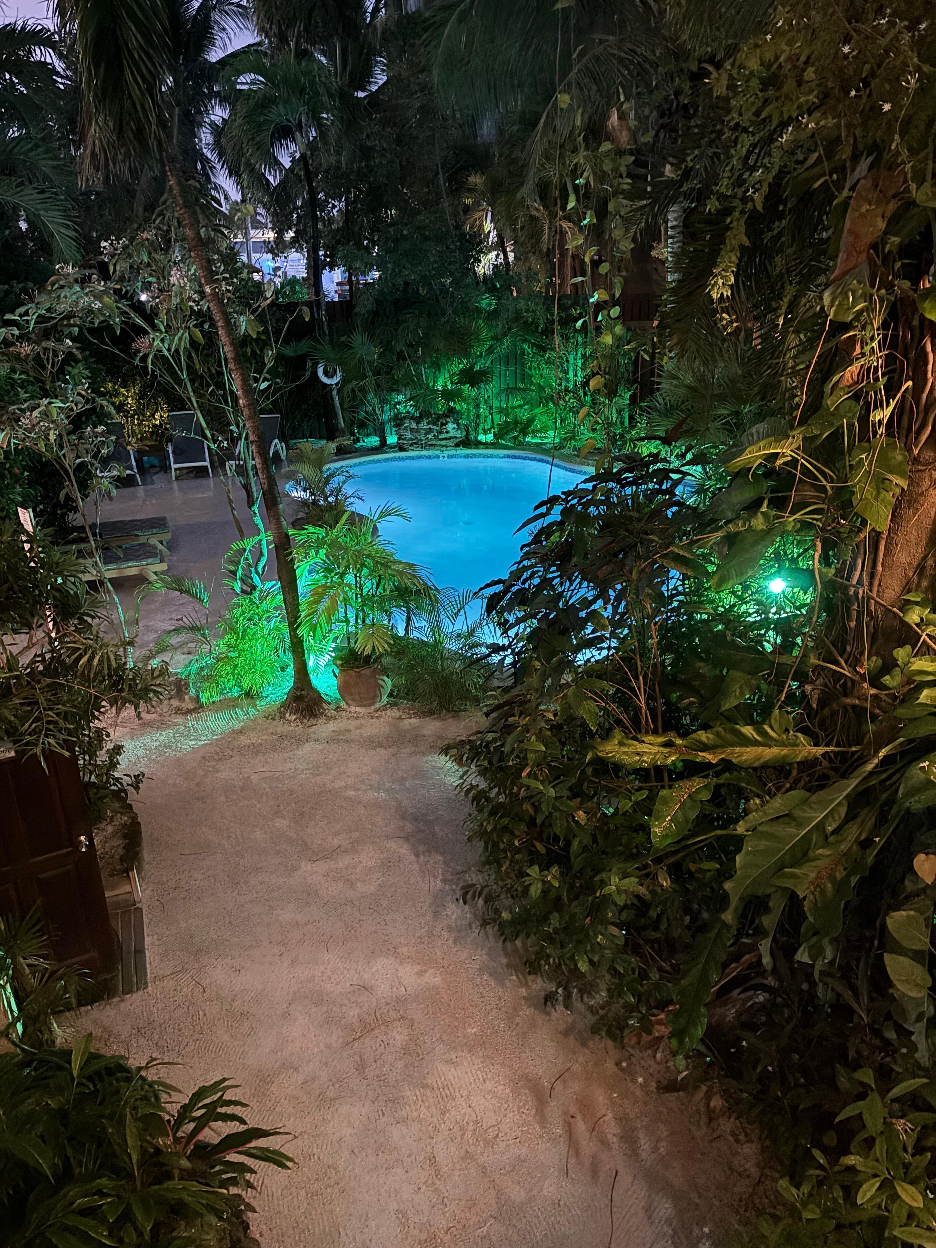 Pool (small, but nice) 