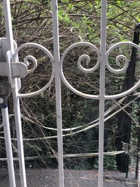 Couldn’t access the garden due to overgrowth