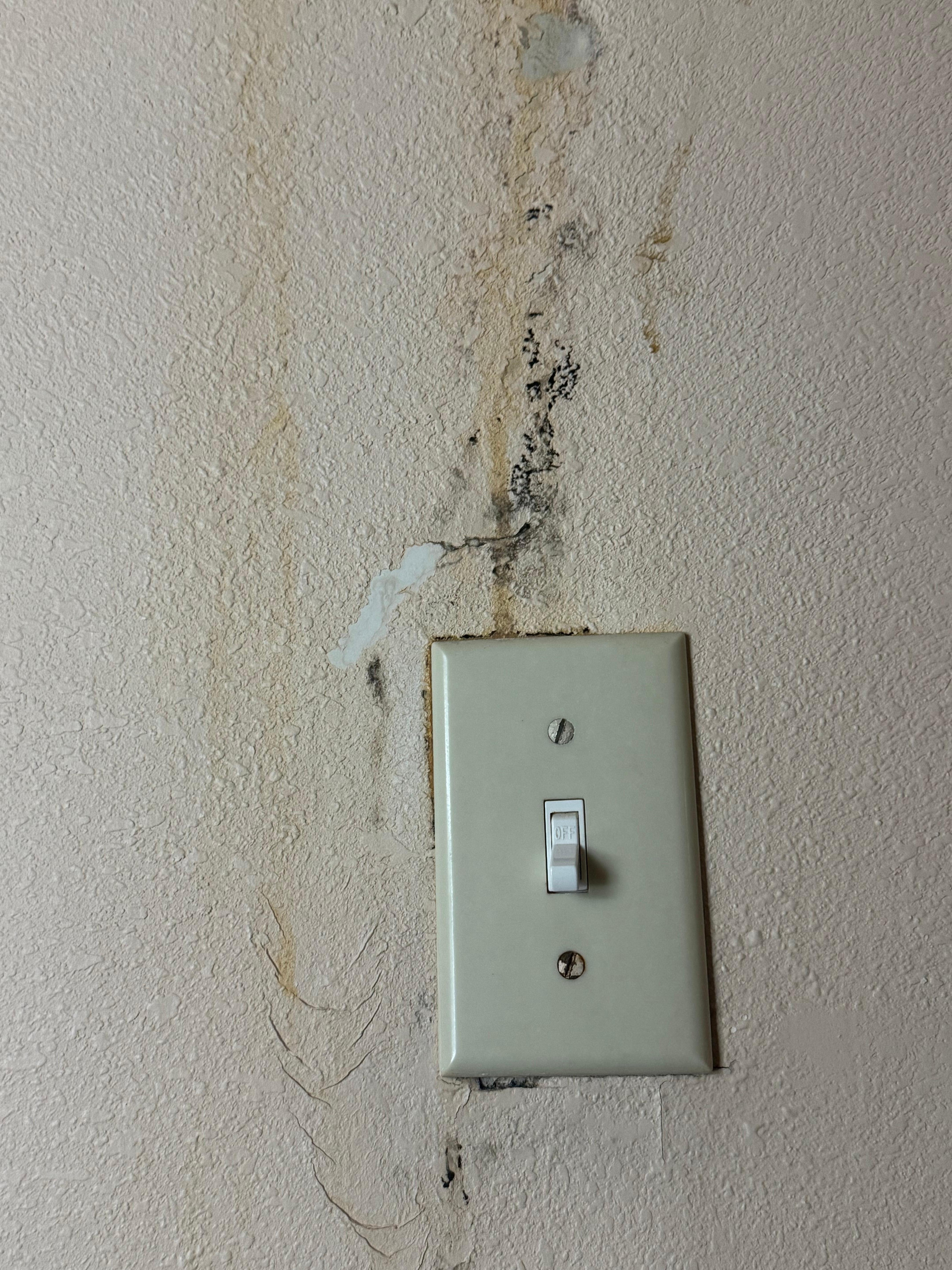 Light switch on wall. 