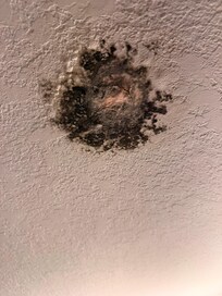 Black mold on bathroom ceiling