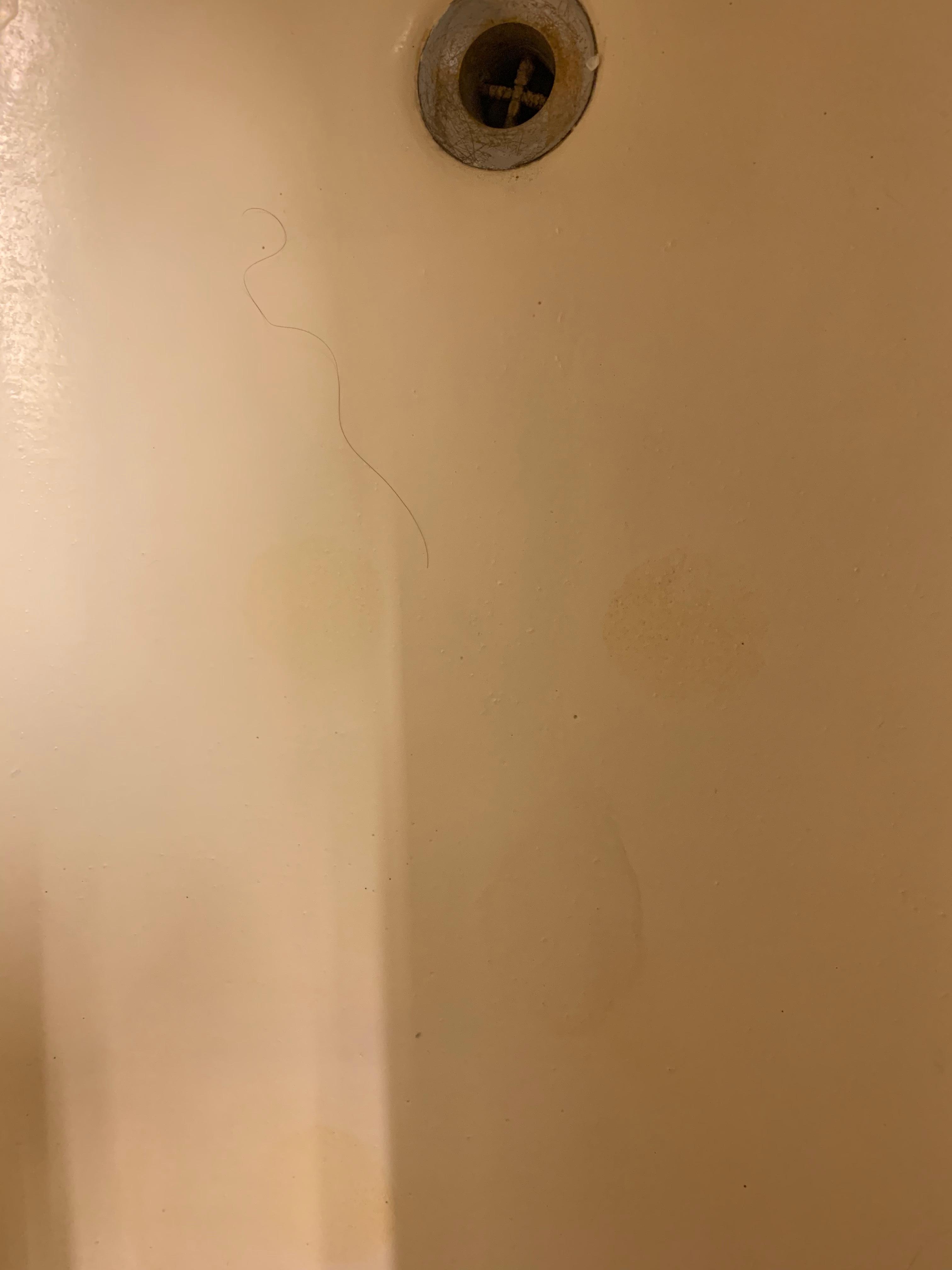 Long hair found in Bathroom tub at check in @3.07pm