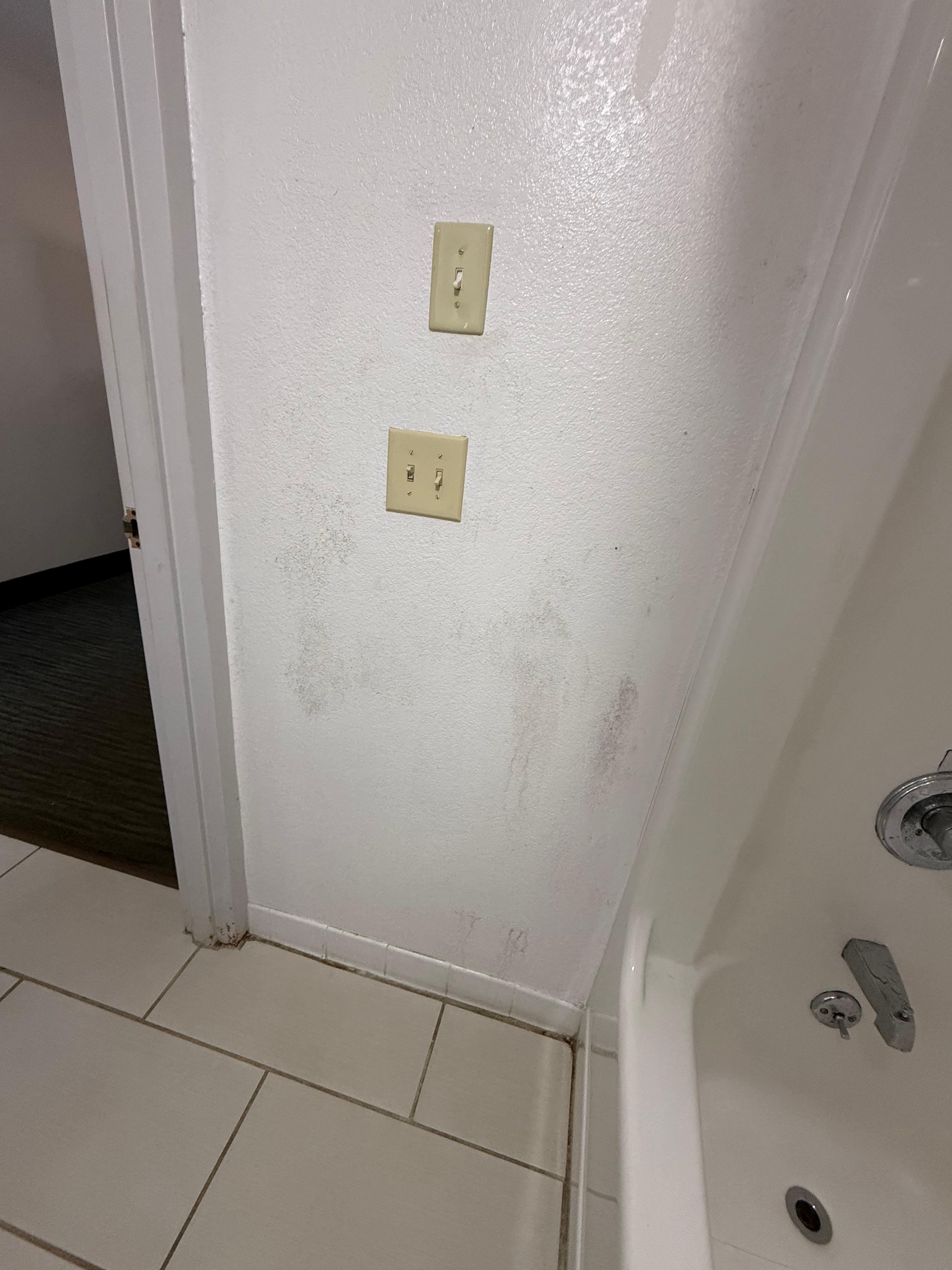 Mold on the wall