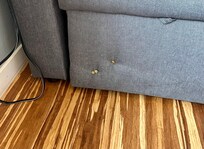 Couch screwed together