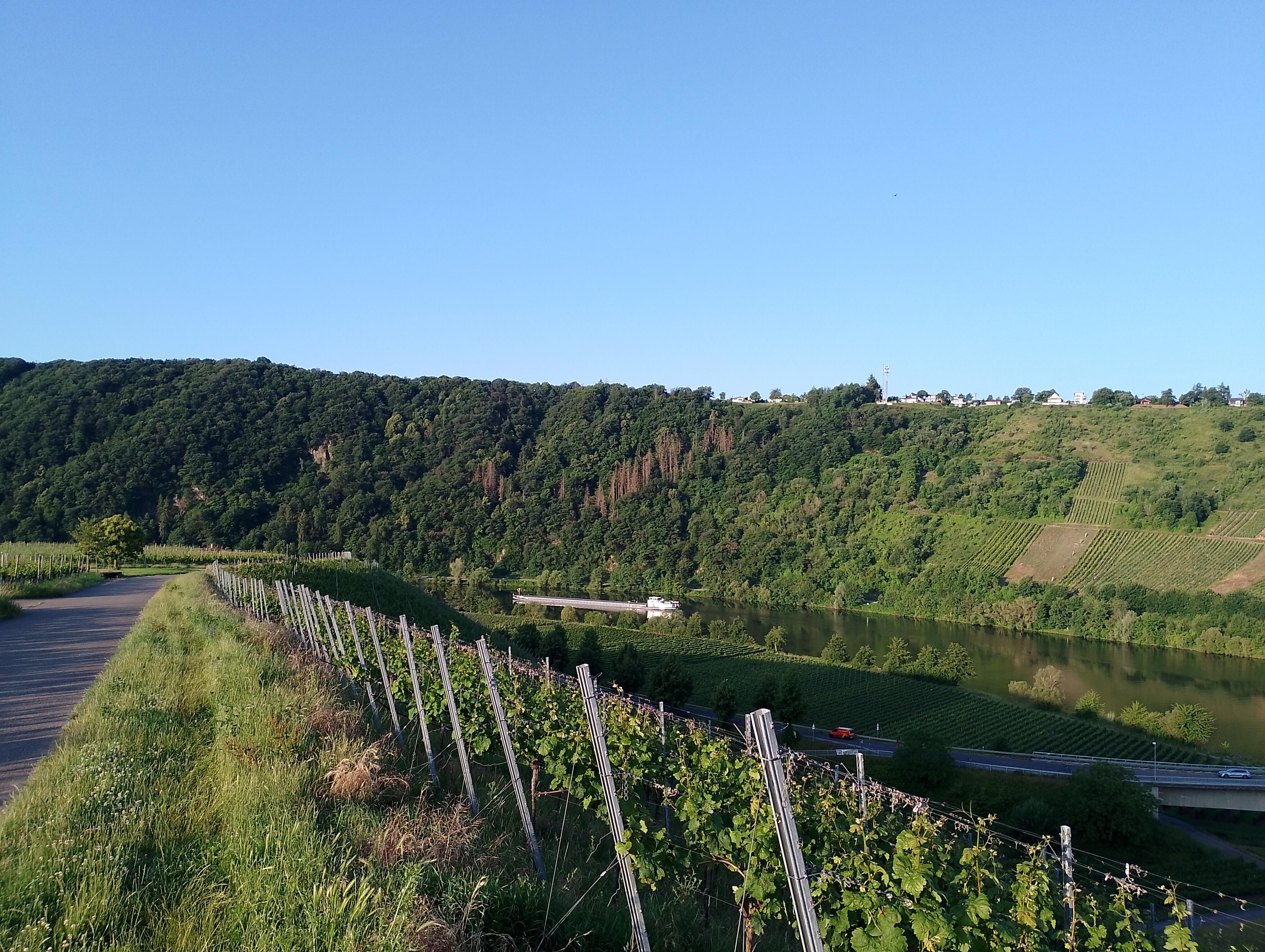 Morgens auf dem Sonneninselrundweg