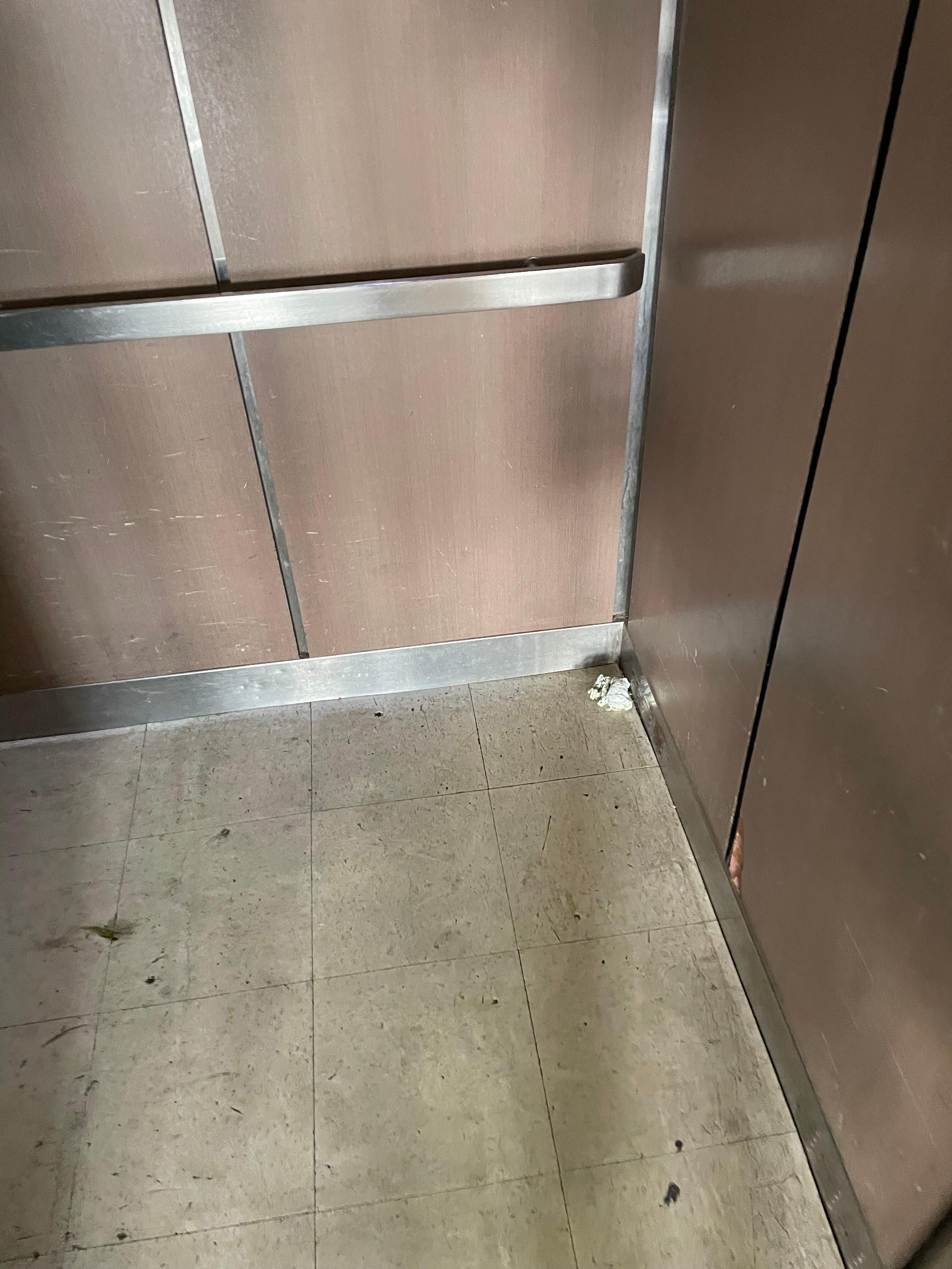 Only functional elevator