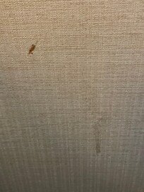Booger or blood?