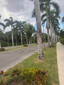 Road to hotel