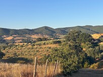 View from top of the hill by the pool
