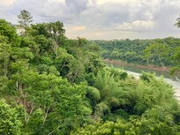 View from balcony of room 219