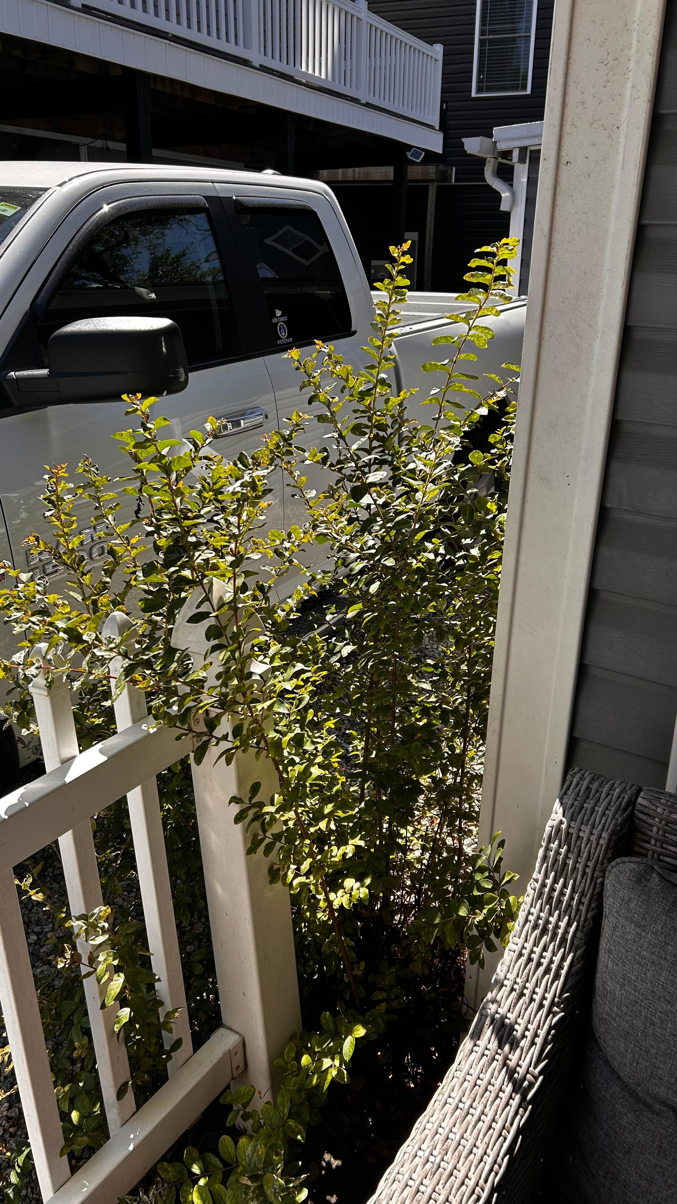 Porch fence 
