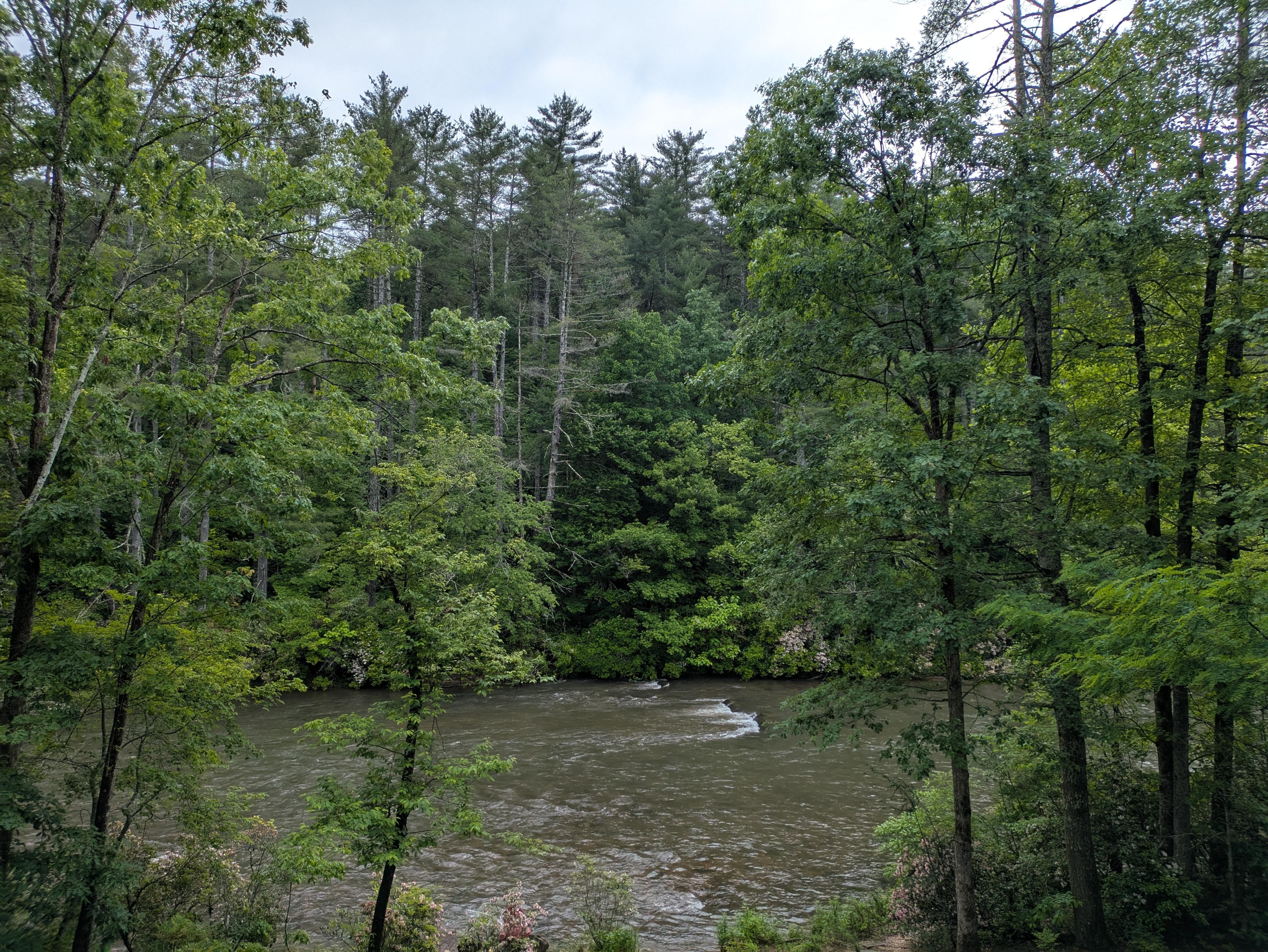 Beautiful view from the deck.