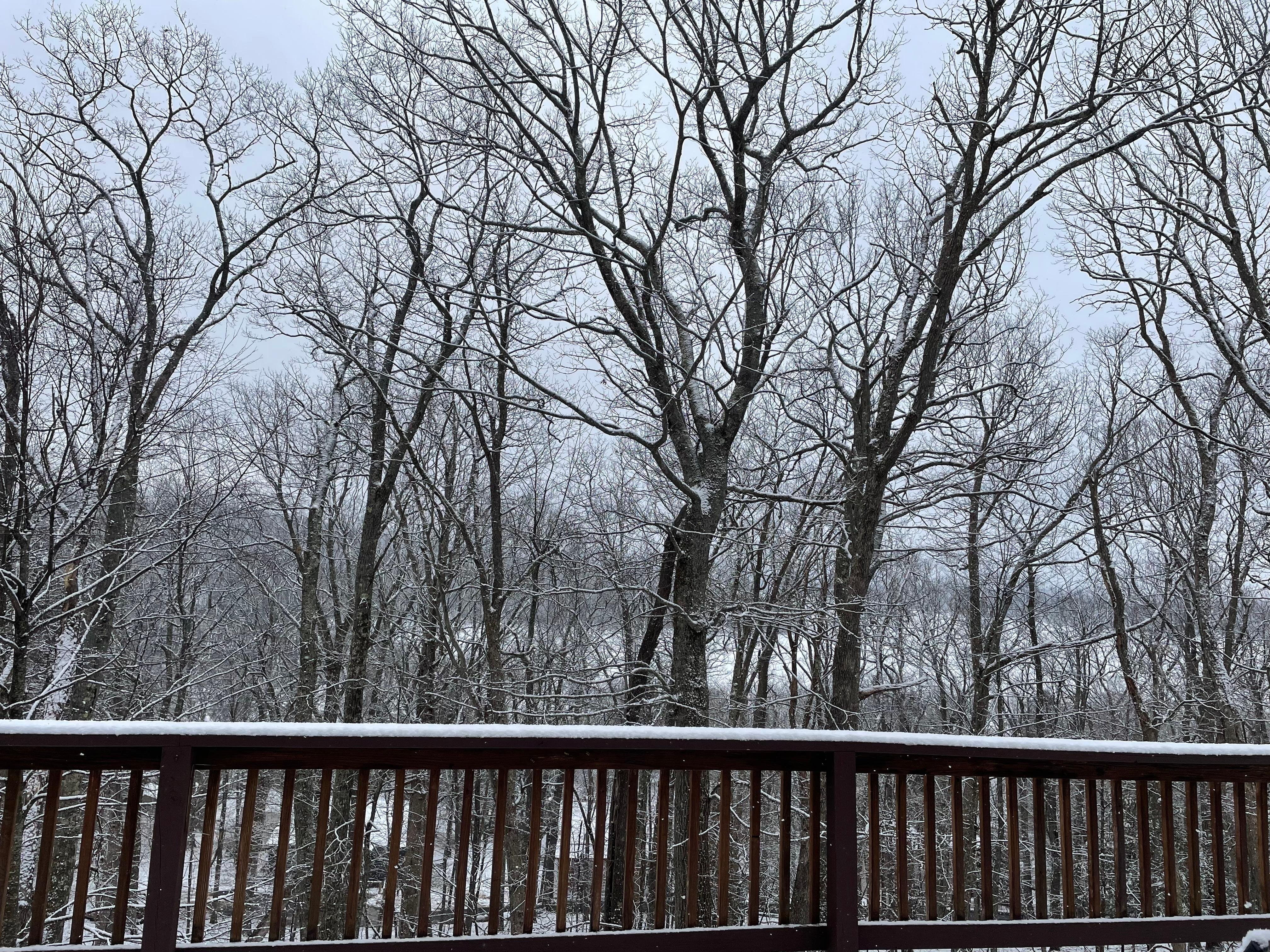 The day we had to leave and head home 