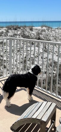 Bentley's favorite place