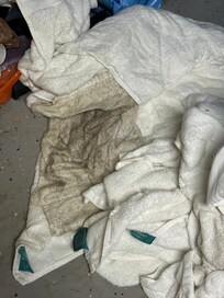 this is how soiled the towels were - we spent our Friday evening washing and folding them