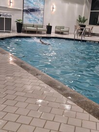 Indoor pool was a plus