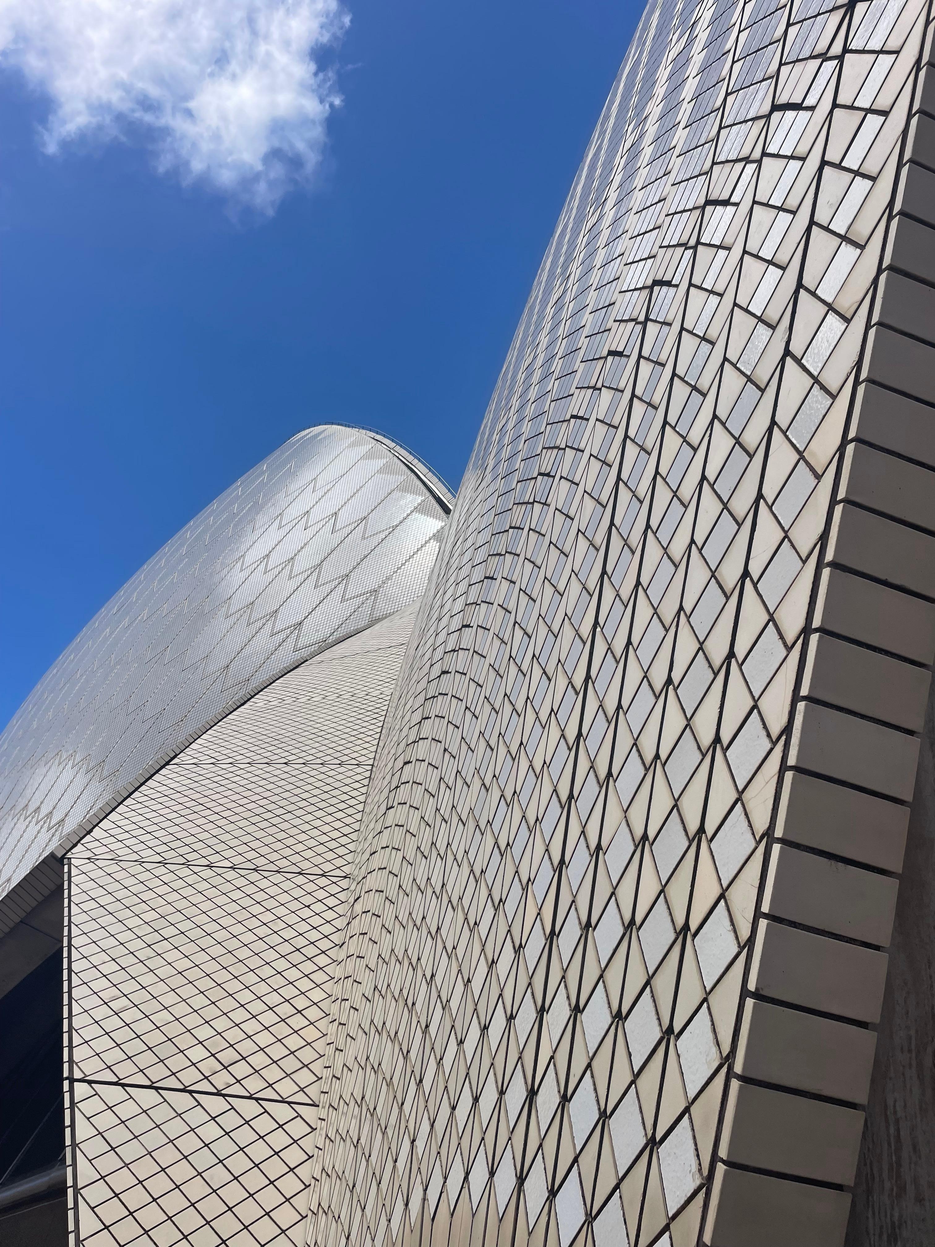The tiled  roof of the Sydney Opera House.