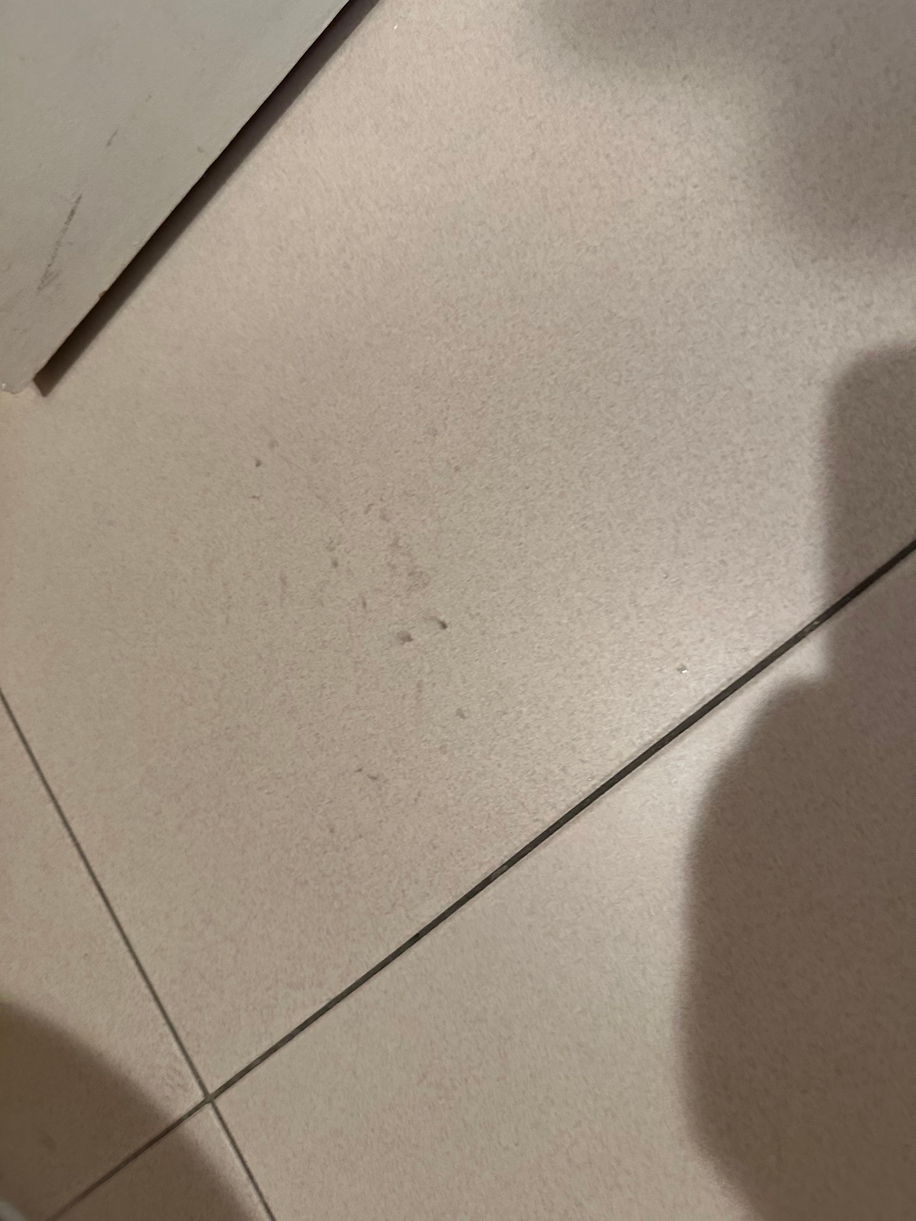 These were urine stains on the floor.