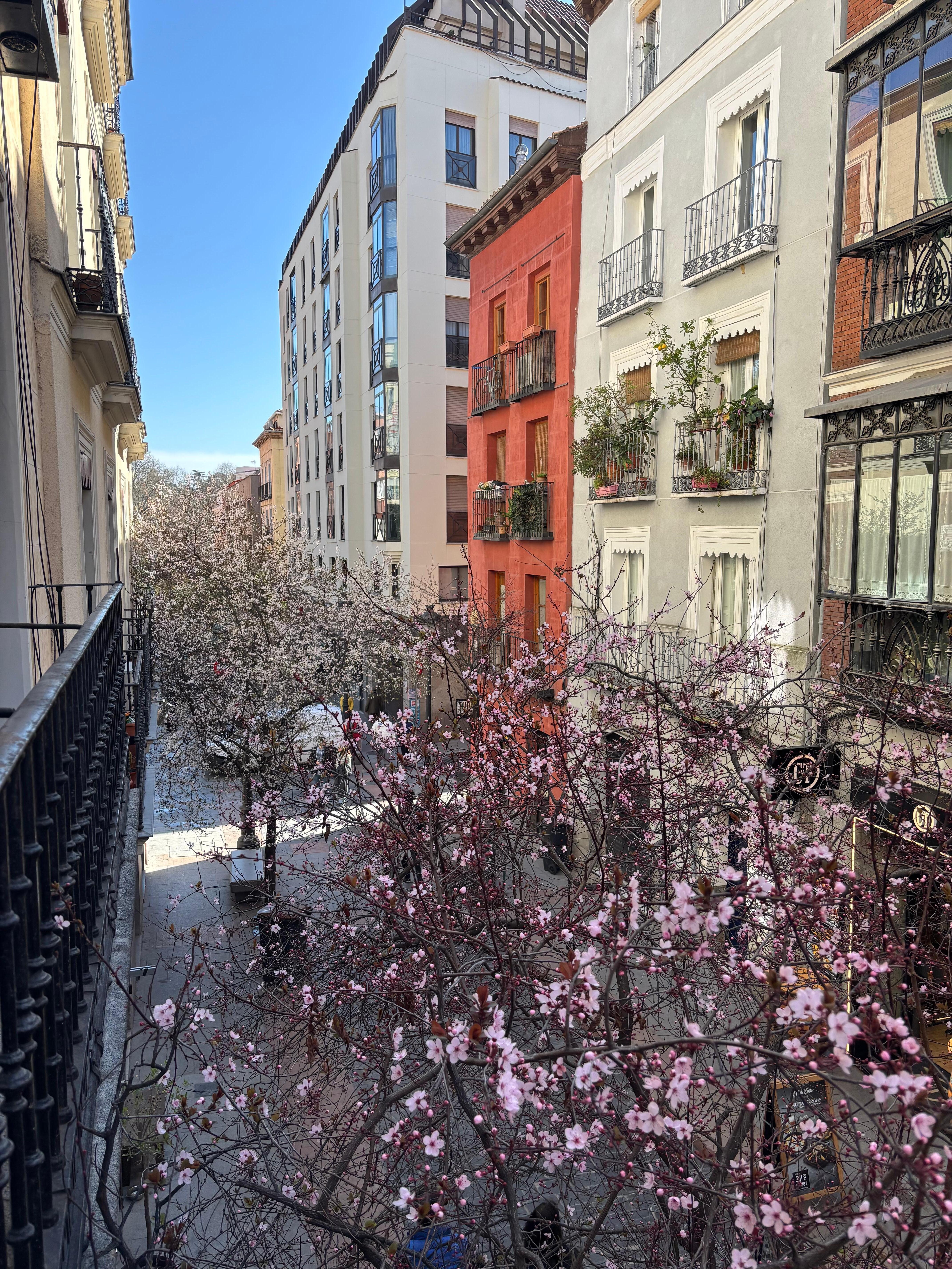 View from the window