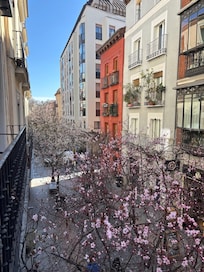 View from the window