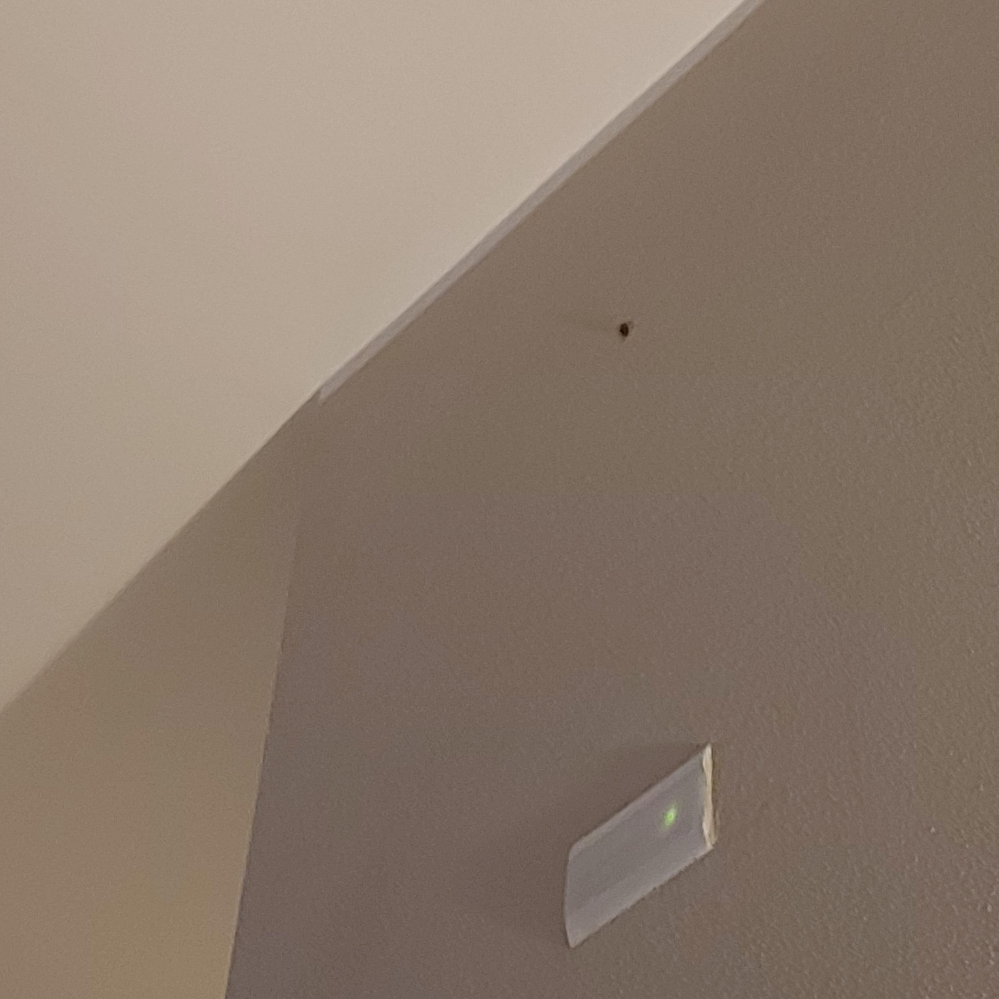 Camera da letto -puzzola 