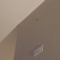 Camera da letto -puzzola