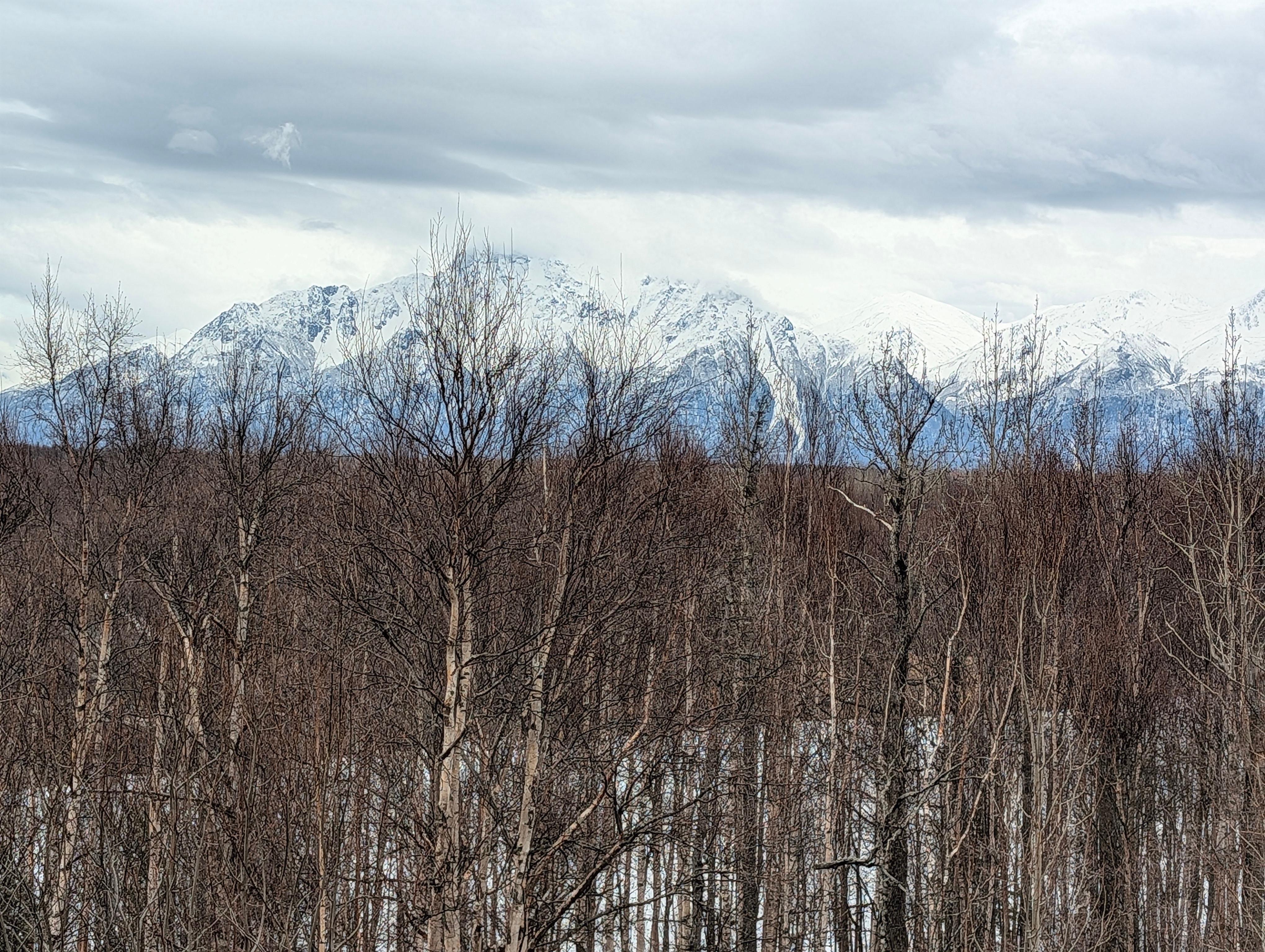 View from the top of the stairs
