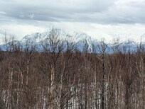 View from the top of the stairs