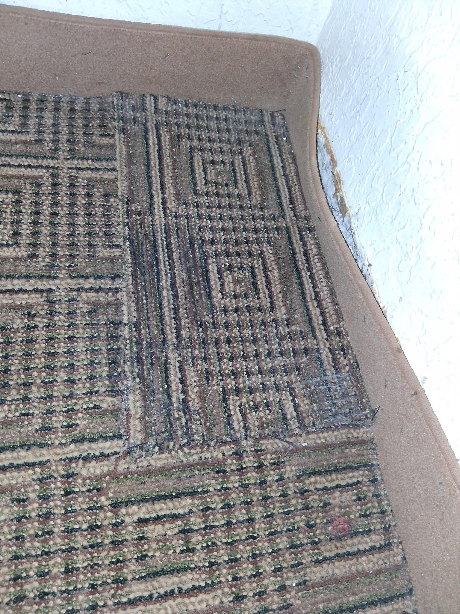 Carpet had mold and was cut.