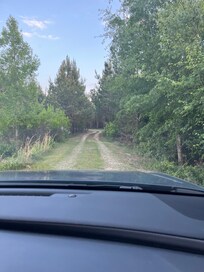 Driveway up to the cabin. Someone mentioned potholes but it is very well-maintained for a rural property road.