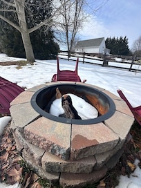 Pretty little pony on the back of the property