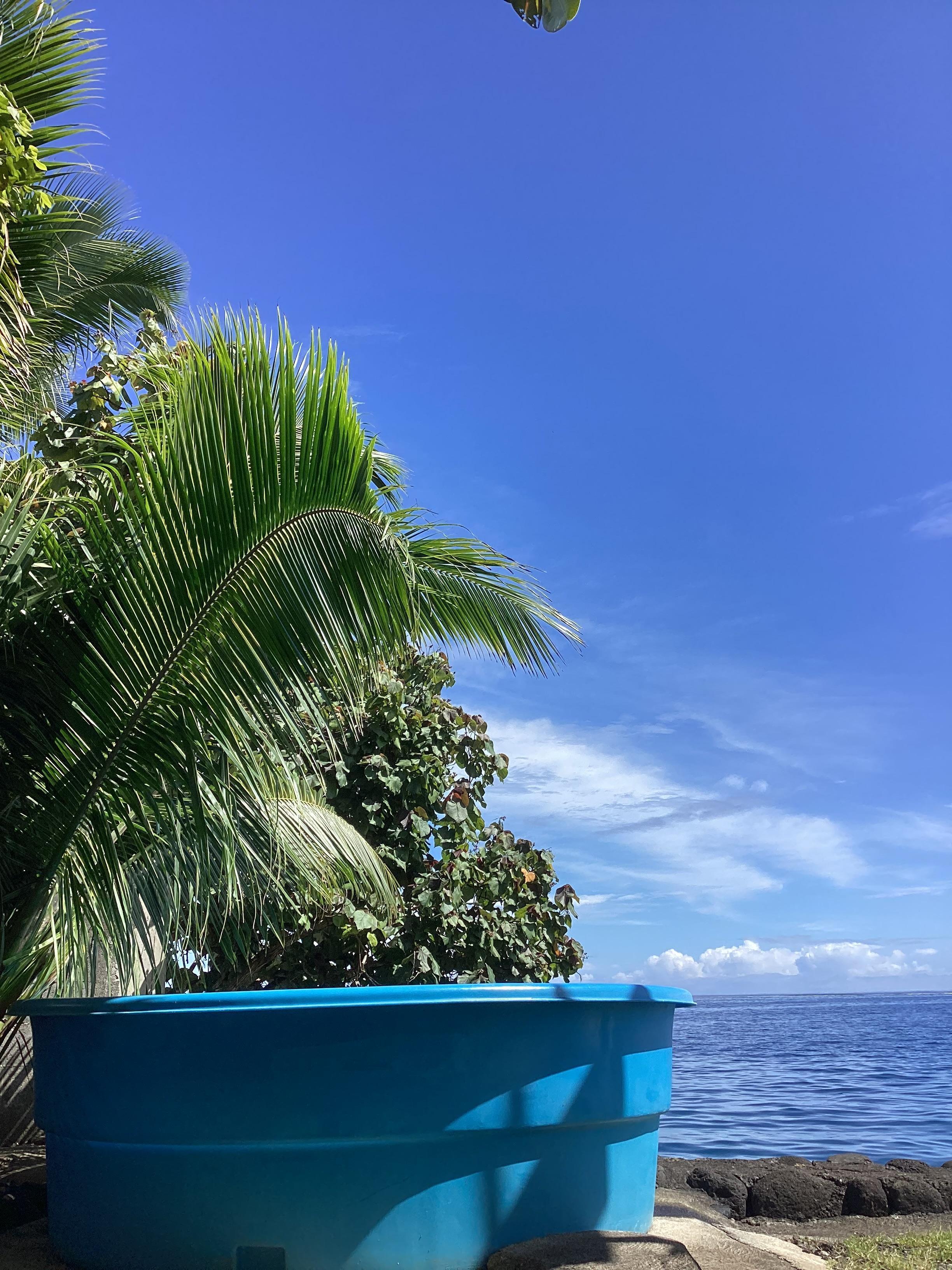 That’s your view. Snorkeling right there!