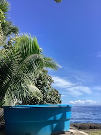 That’s your view. Snorkeling right there!