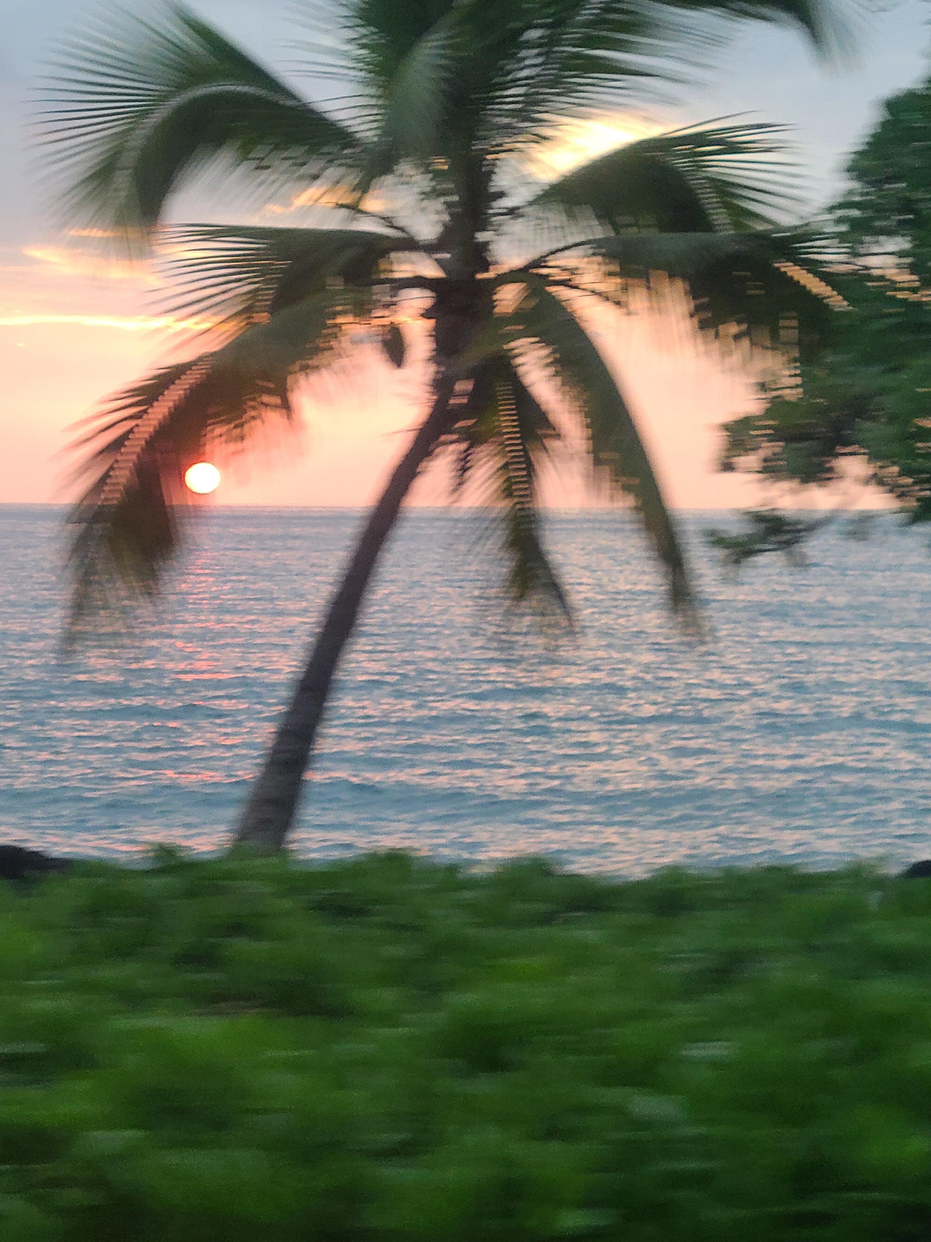 Beautiful view of sunset from in front of building.