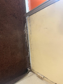 Frayed Carpet Rm 355