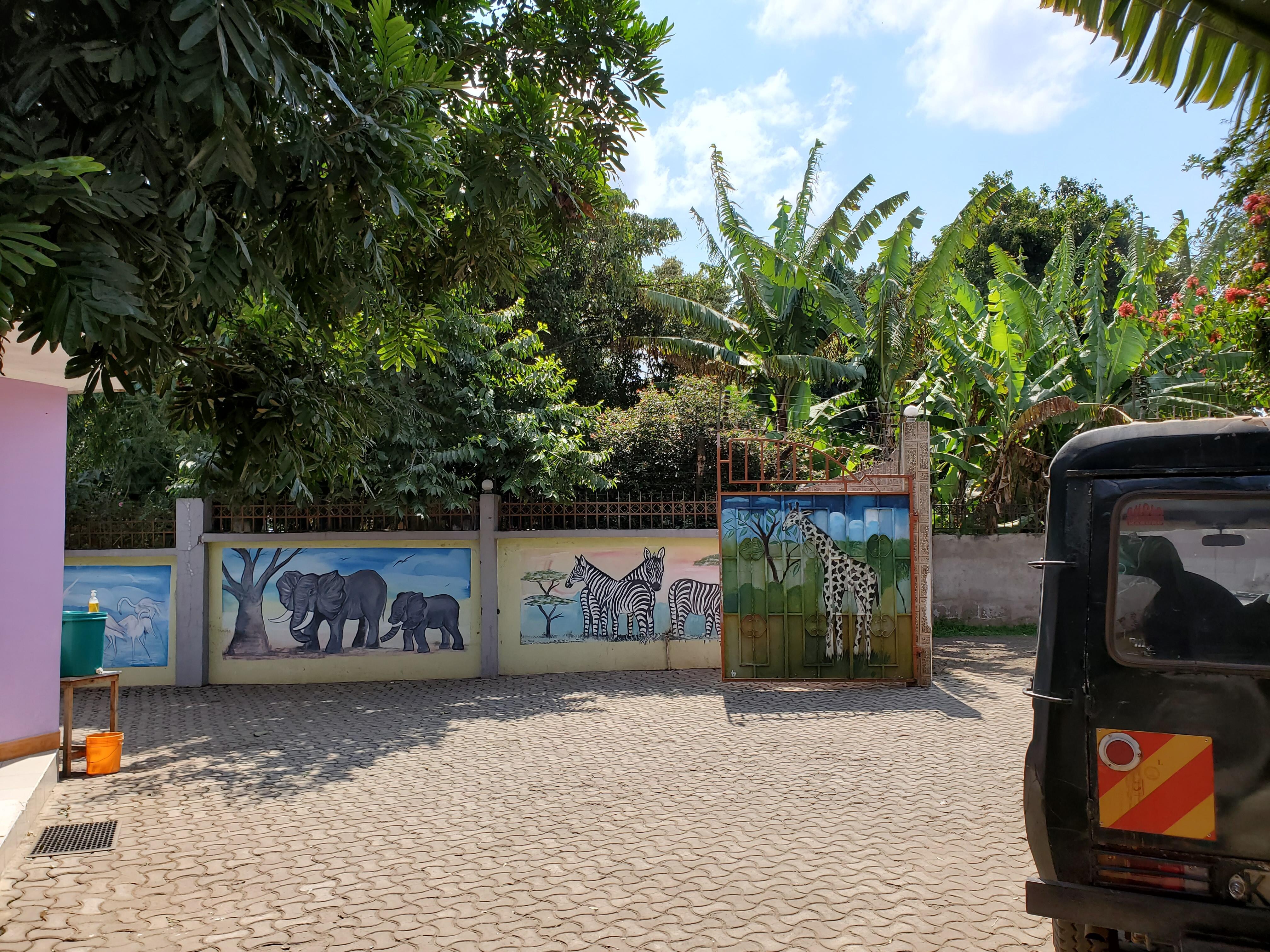 View from the hippo pool bar