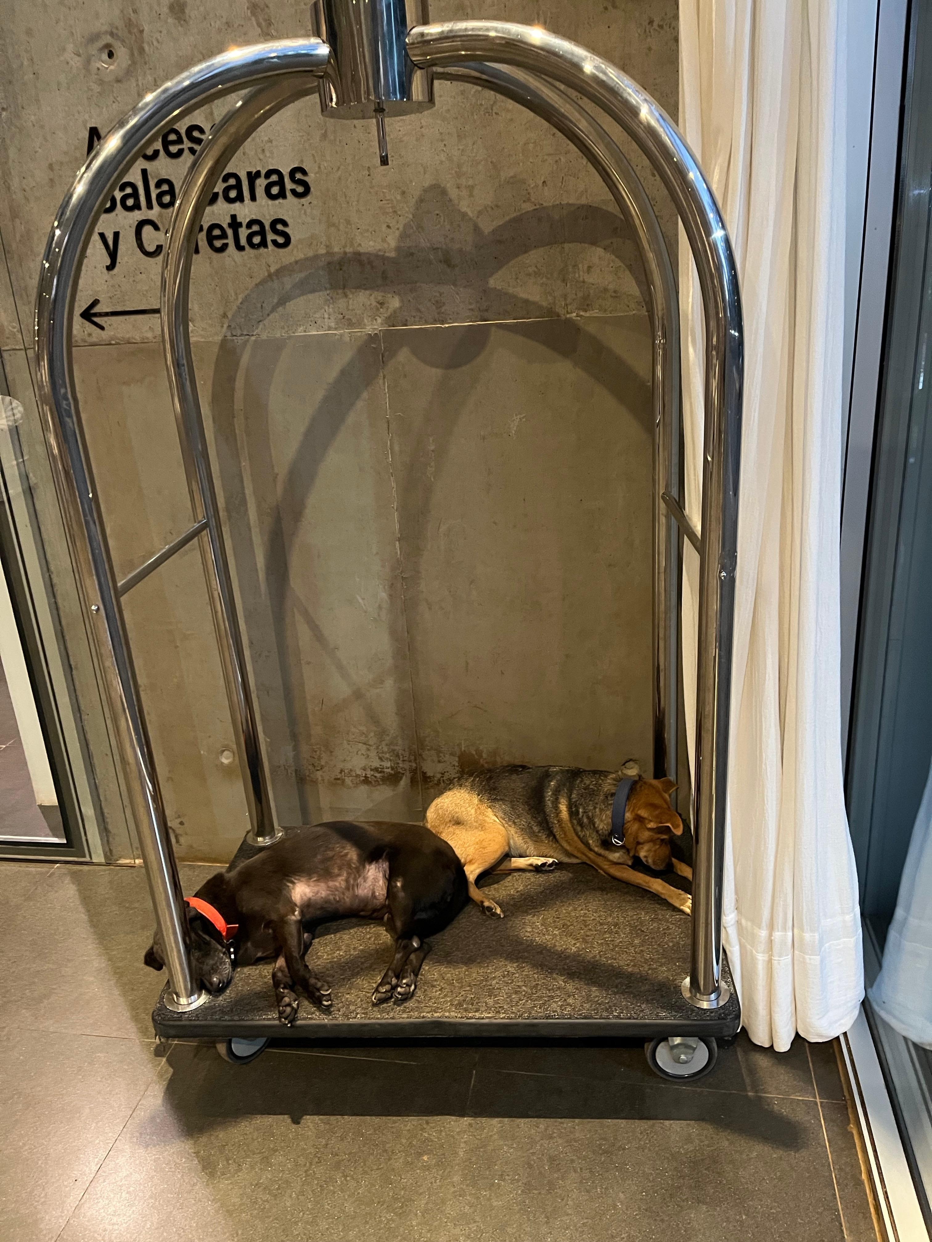 Bell staff - morning shift change