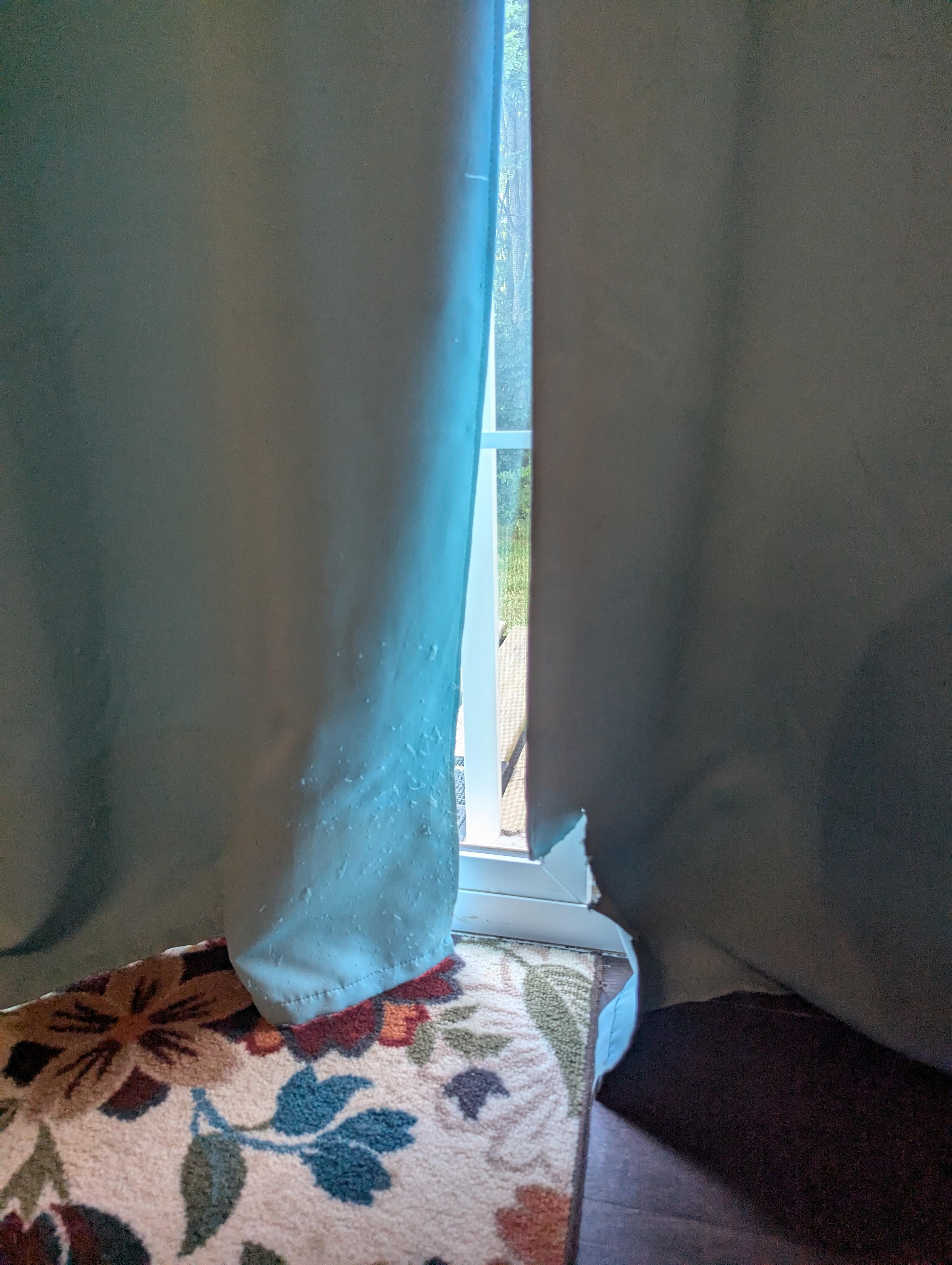 Visible cat scratches on curtains