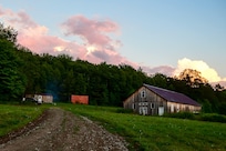 The driveway leading up to the Cabin on the left