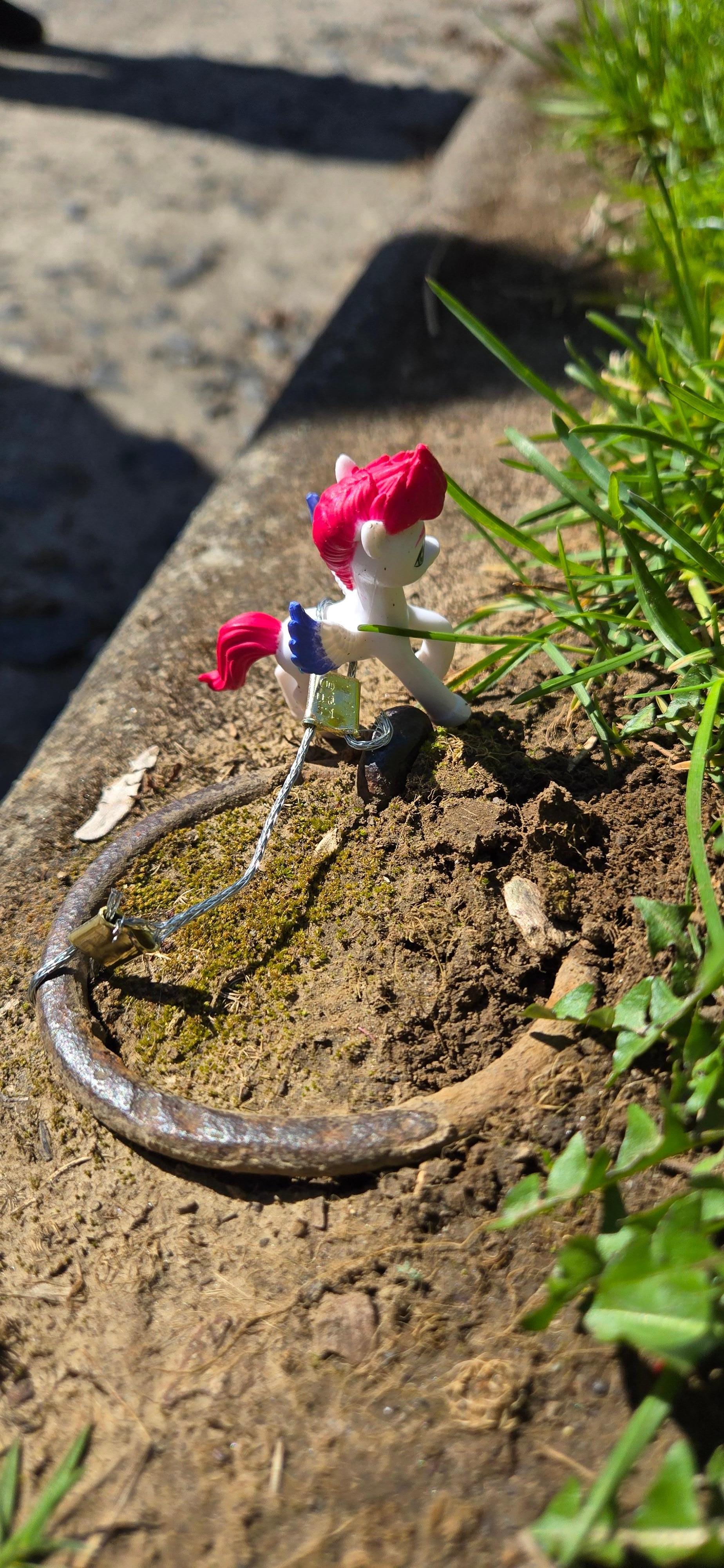Portland horse project