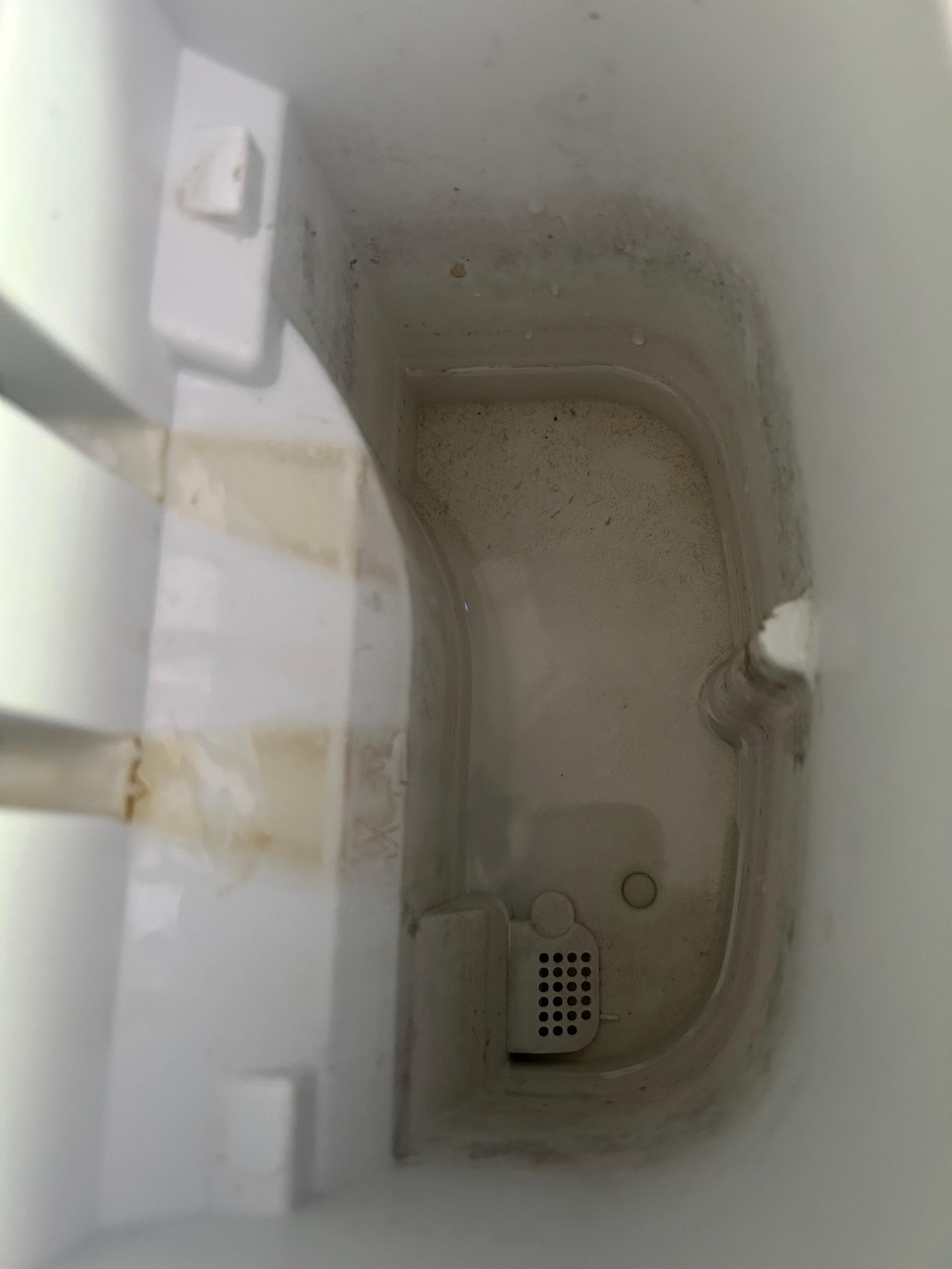 Moldy ice maker