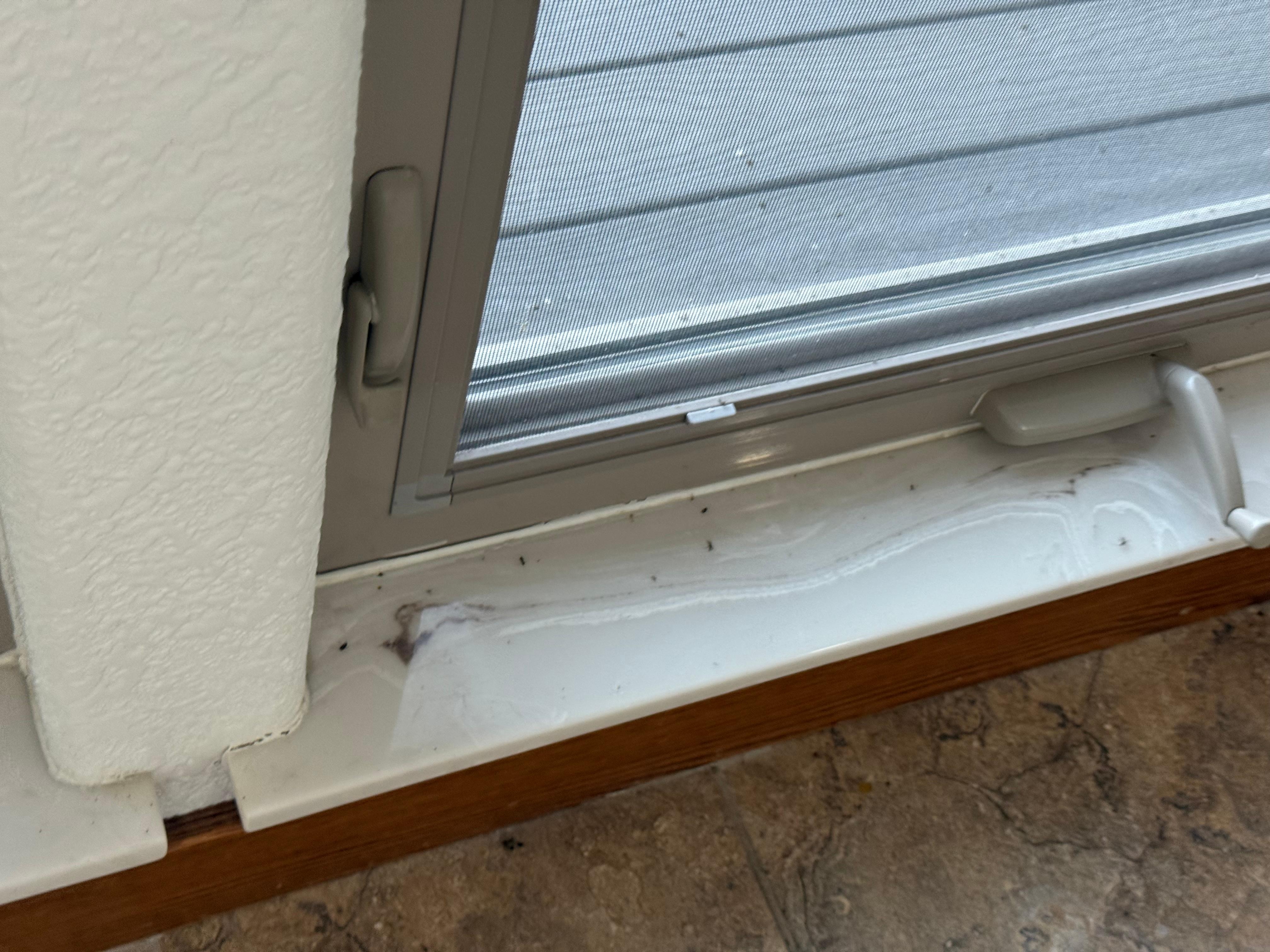 Big on floor and window sill