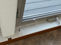 Big on floor and window sill