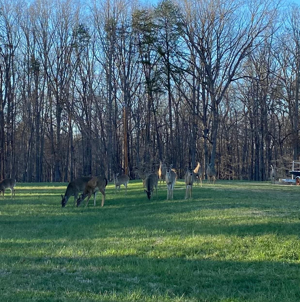 I had to share my apples! 