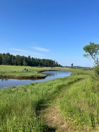 Pathway to the water