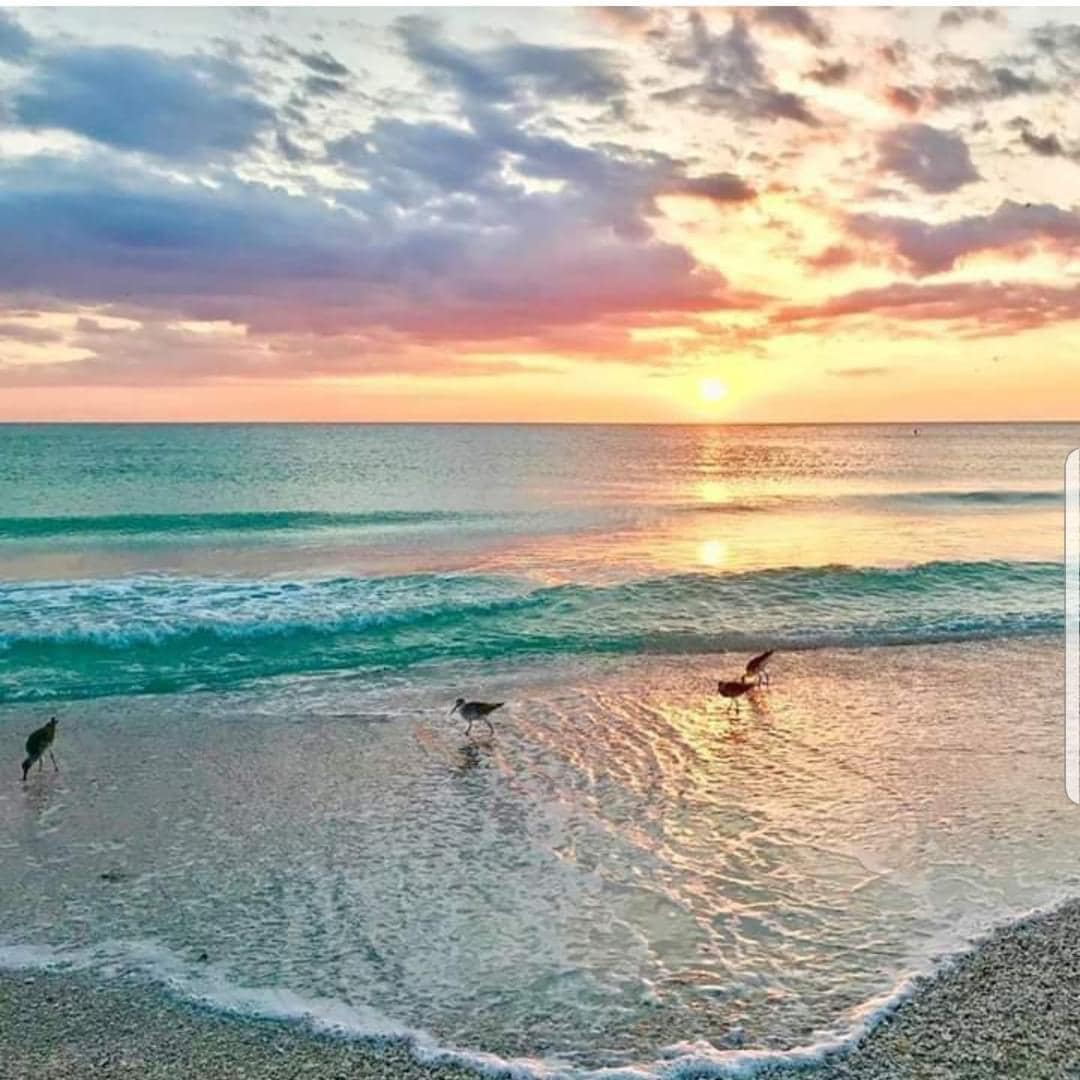 Beautiful Beaches close by ! 