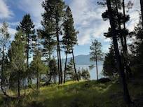 View of the lake, walking to the observation deck