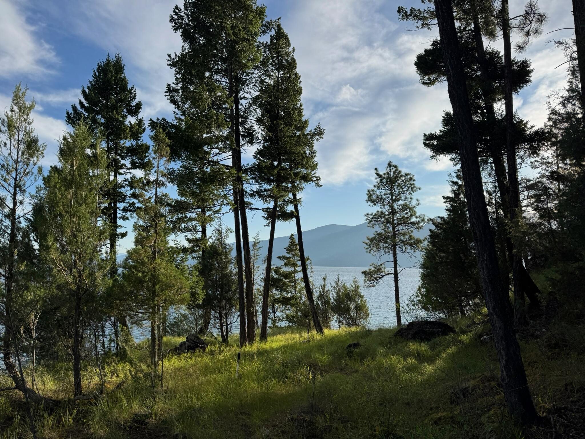 View of the lake, walking to the observation deck